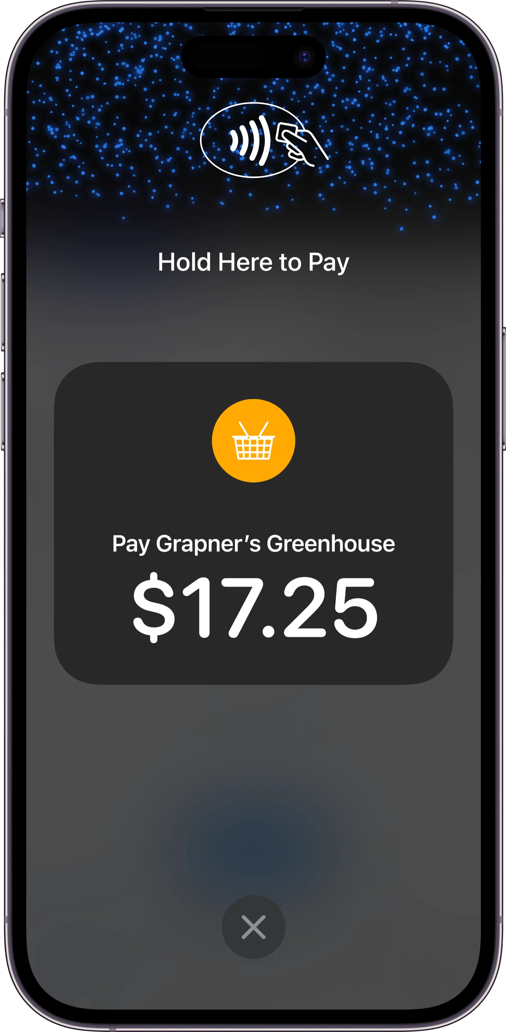 Tap to pay on iPhone